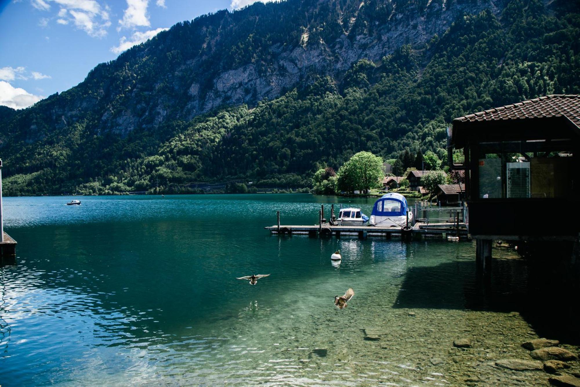 Au Bord Du Lac Därligen Exterior foto